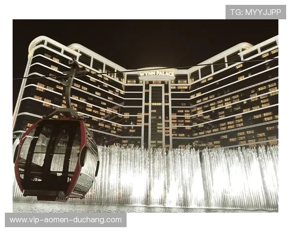 澳门赌场有几家全面分析,带你了解澳门主要赌场的数量变化与分布情况 澳门赌场有几家全面分析,带你了解澳门主要赌场的数量变化与分布情况