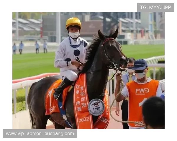 澳门赛马最新赛事盘点,赛场激烈角逐引发热议 澳门赛马最新赛事盘点,赛场激烈角逐引发热议