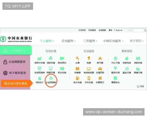 金龙娱乐场客户端安全下载与安装详细步骤，保障您的账户安全