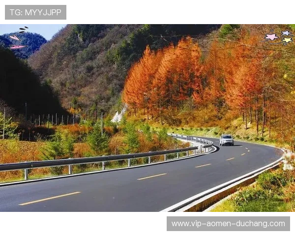 DB真人平台最新优惠政策与注册流程详尽解析