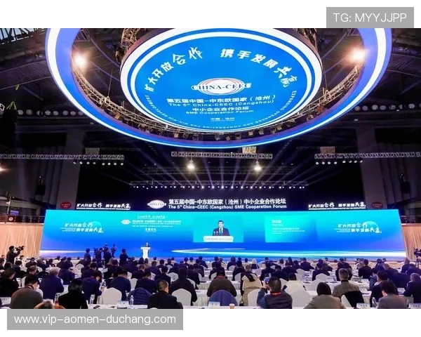 dg视讯合作平台在数字化转型中的作用及其为中小企业带来的合作新机遇