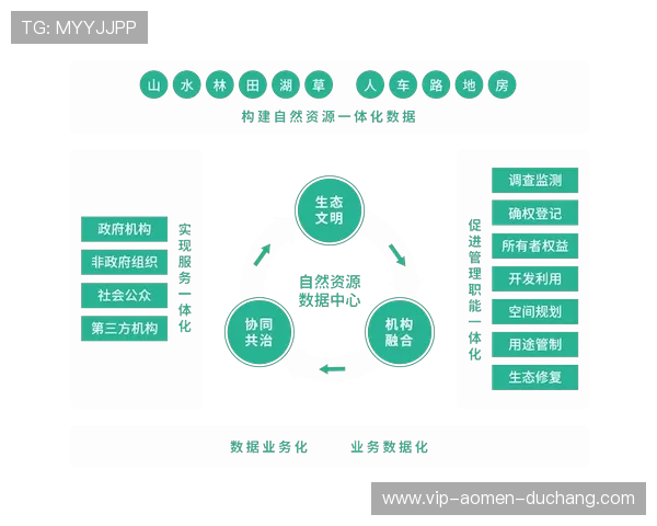 wm视讯的充值与提现流程详解，帮助用户快速便捷完成资金操作