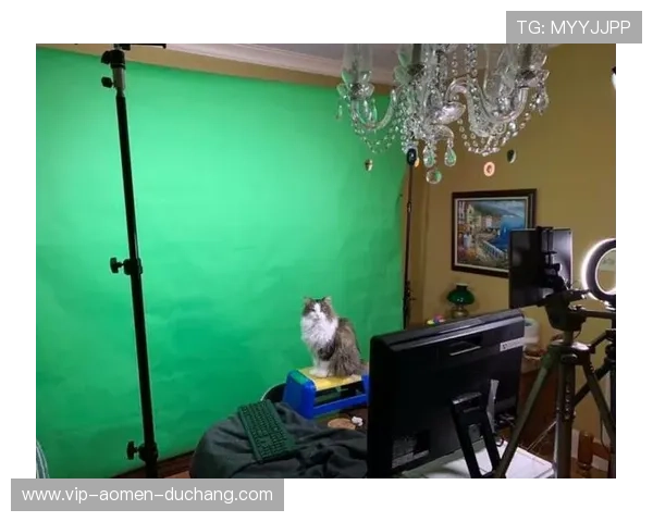 专业真人BG摄影棚录制,保证每一帧画面都具有高度真实感带来极致视觉冲击 专业真人BG摄影棚录制,保证每一帧画面都具有高度真实感带来极致视觉冲击