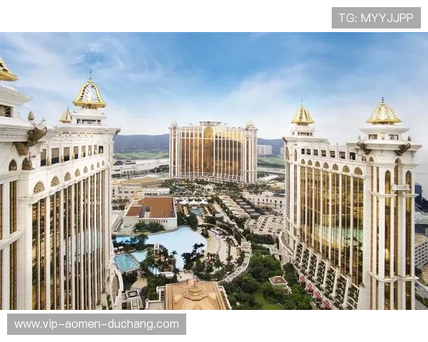 澳门总统手机版会员登录保障您的账户安全，轻松享受便捷娱乐体验